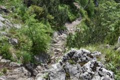 NIK_1868_63