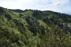 NIK_1869_64