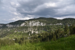 NIK_1871_65