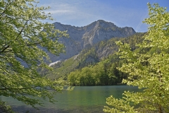 FischerWil-2