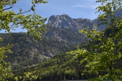 FischerWil-5