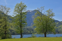 FischerWil-8