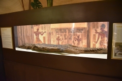 NIK_0536