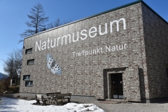NIK_0548a