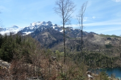 Oedseen__12