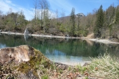 Oedseen__17