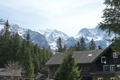 Oedseen__21