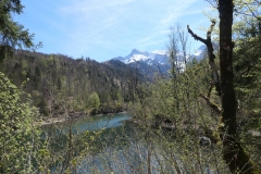 Oedseen__8