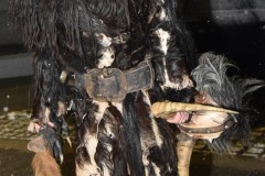 PeLa__2