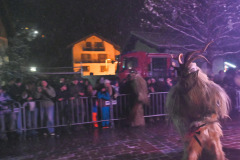 DSC_3584