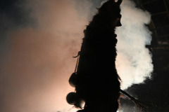 DSC_3863
