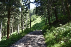 Fischer_13