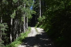Fischer_14