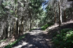 Fischer_16