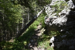 Fischer_22
