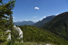 Fischer_29