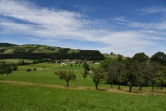 Fischer_3