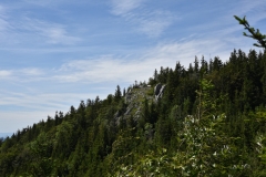 Fischer_33