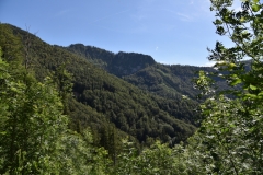 Fischer_40
