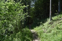 Fischer_41