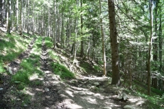 Fischer_43