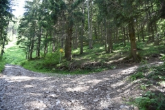 Fischer_44