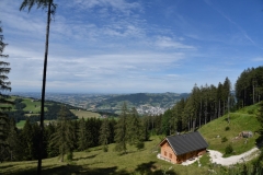 Fischer_45
