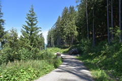 Fischer_9