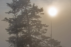 Nebelgrenze__1
