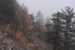 TrSt__4