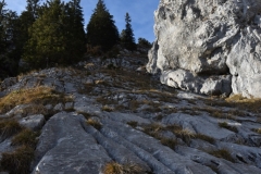 TrSt__45
