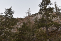 TrSt__6