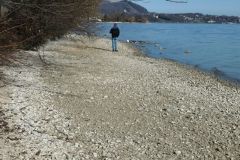 Wasser-12