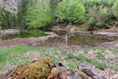 Wiesensee-1