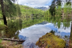 Wiesensee-10