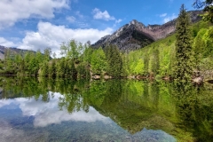 Wiesensee-11
