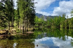 Wiesensee-12