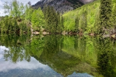 Wiesensee-13