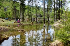 Wiesensee-14