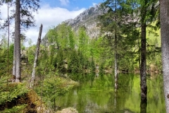 Wiesensee-15