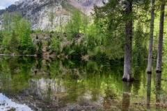 Wiesensee-16