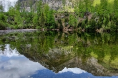 Wiesensee-18