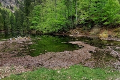 Wiesensee-2