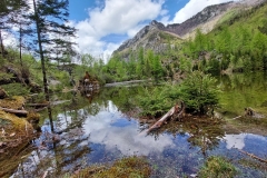 Wiesensee-20