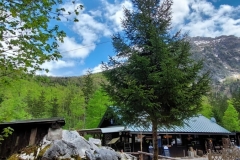 Wiesensee-24