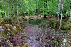 Wiesensee-27
