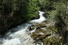 Wiesensee-29