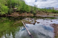 Wiesensee-3