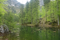 Wiesensee-31