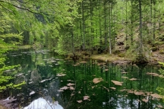 Wiesensee-4